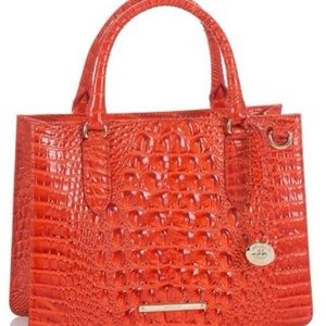 Brahmin Camille Amaryllis